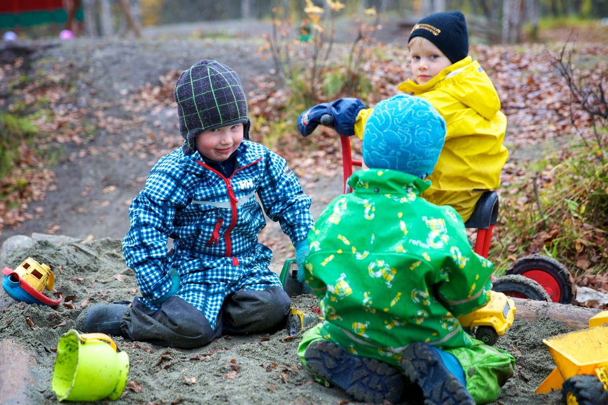 Norges arktiske studentsamskipnad 